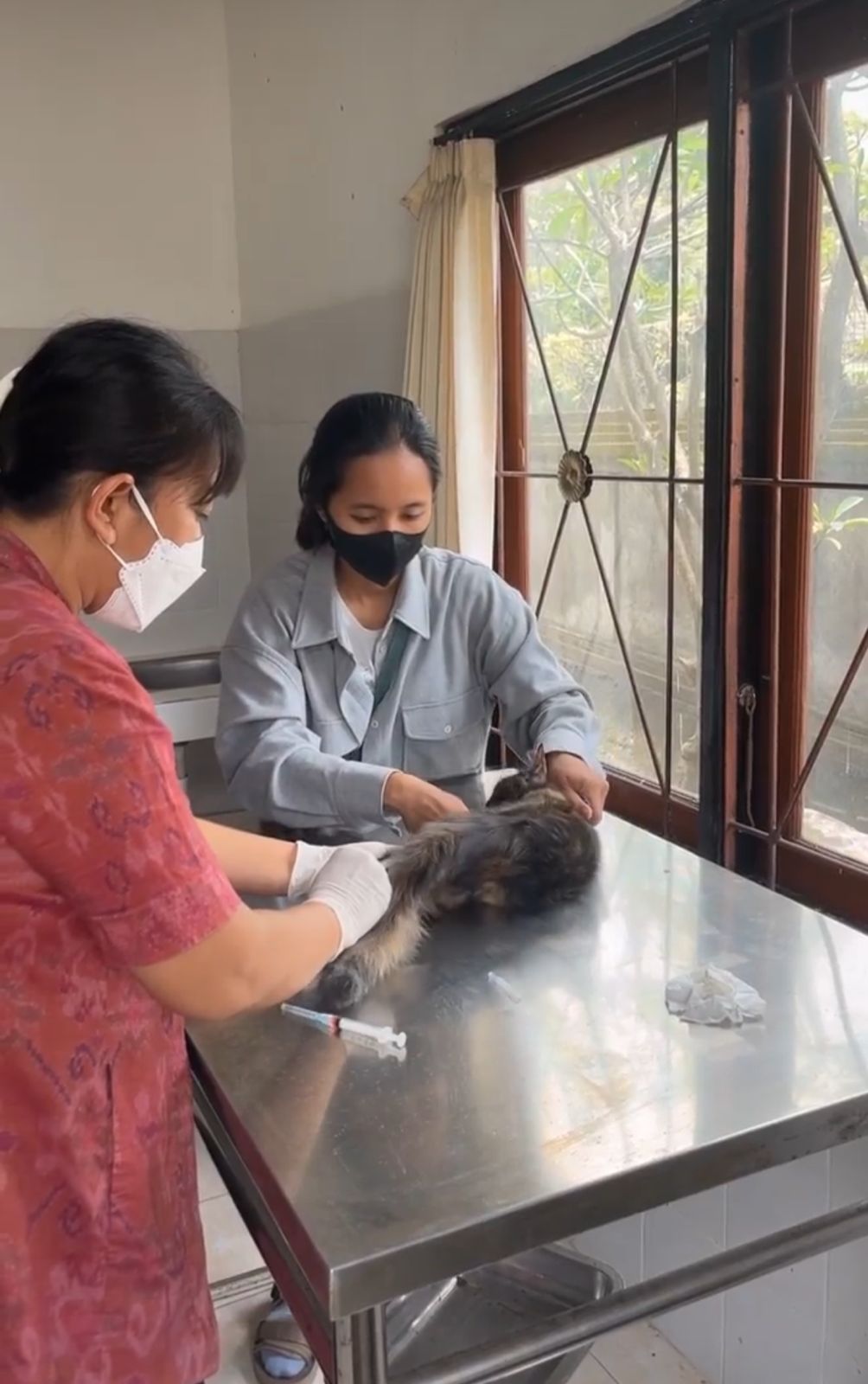 Canopy Animal Care: Kesehatan Hewan yang Menginspirasi Warga Cilacap